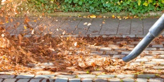 Außenreinigung Außenreinigung