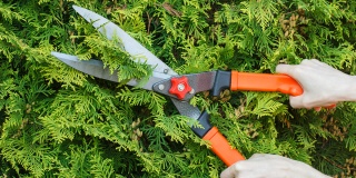 Grünflächenpflege Grünflächenpflege